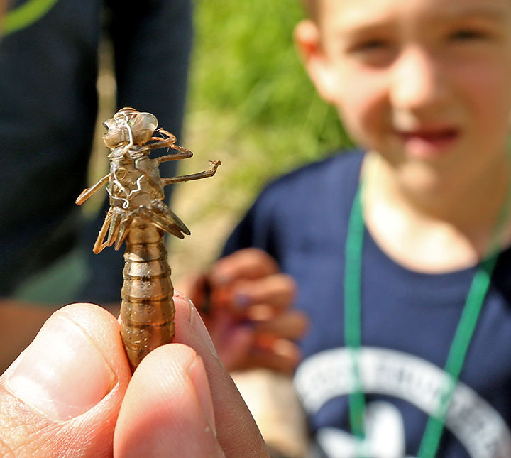 Calypso Farm Camp